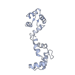 20295_6pby_B_v1-2
Single particle cryo-EM structure of the voltage-gated K+ channel Eag1 3-13 deletion mutant bound to calmodulin (conformation 1)