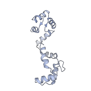 20295_6pby_B_v1-3
Single particle cryo-EM structure of the voltage-gated K+ channel Eag1 3-13 deletion mutant bound to calmodulin (conformation 1)