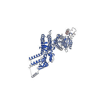 20295_6pby_C_v1-3
Single particle cryo-EM structure of the voltage-gated K+ channel Eag1 3-13 deletion mutant bound to calmodulin (conformation 1)