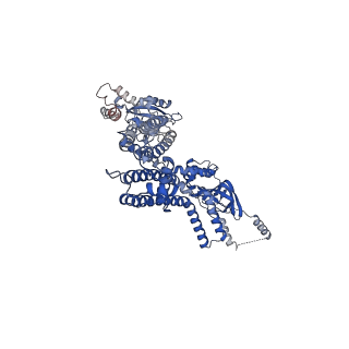 20295_6pby_E_v1-2
Single particle cryo-EM structure of the voltage-gated K+ channel Eag1 3-13 deletion mutant bound to calmodulin (conformation 1)