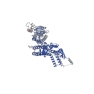 20295_6pby_E_v1-3
Single particle cryo-EM structure of the voltage-gated K+ channel Eag1 3-13 deletion mutant bound to calmodulin (conformation 1)