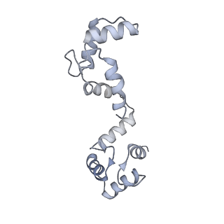 20295_6pby_F_v1-2
Single particle cryo-EM structure of the voltage-gated K+ channel Eag1 3-13 deletion mutant bound to calmodulin (conformation 1)