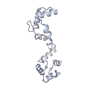 20295_6pby_F_v1-3
Single particle cryo-EM structure of the voltage-gated K+ channel Eag1 3-13 deletion mutant bound to calmodulin (conformation 1)