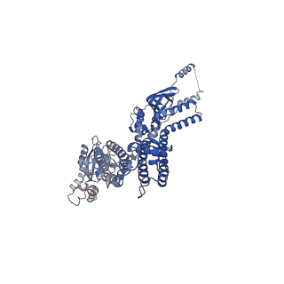 20295_6pby_G_v1-2
Single particle cryo-EM structure of the voltage-gated K+ channel Eag1 3-13 deletion mutant bound to calmodulin (conformation 1)