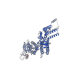 20295_6pby_G_v1-3
Single particle cryo-EM structure of the voltage-gated K+ channel Eag1 3-13 deletion mutant bound to calmodulin (conformation 1)