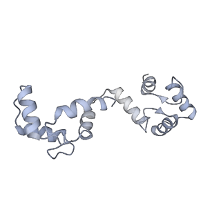 20295_6pby_H_v1-2
Single particle cryo-EM structure of the voltage-gated K+ channel Eag1 3-13 deletion mutant bound to calmodulin (conformation 1)