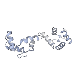 20295_6pby_H_v1-3
Single particle cryo-EM structure of the voltage-gated K+ channel Eag1 3-13 deletion mutant bound to calmodulin (conformation 1)