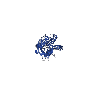 13315_7pc0_A_v1-0
GABA-A receptor bound by a-Cobratoxin