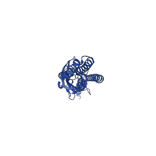 13315_7pc0_A_v2-2
GABA-A receptor bound by a-Cobratoxin