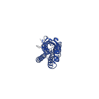 13315_7pc0_D_v1-0
GABA-A receptor bound by a-Cobratoxin