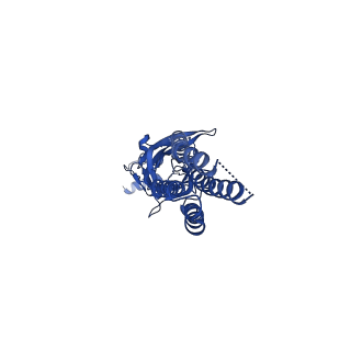 13315_7pc0_E_v1-0
GABA-A receptor bound by a-Cobratoxin