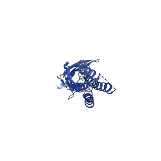 13315_7pc0_E_v2-2
GABA-A receptor bound by a-Cobratoxin