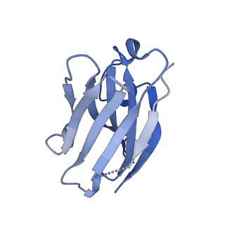 13315_7pc0_F_v1-0
GABA-A receptor bound by a-Cobratoxin
