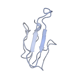 13315_7pc0_K_v1-0
GABA-A receptor bound by a-Cobratoxin