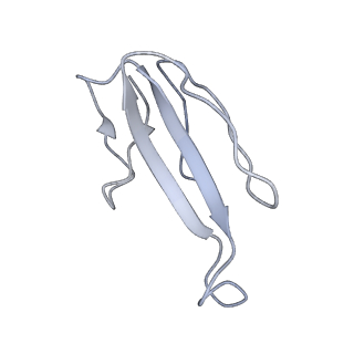 13315_7pc0_L_v1-0
GABA-A receptor bound by a-Cobratoxin
