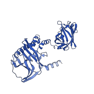 13320_7pch_E_v1-0
Human carboxyhemoglobin bound to Staphylococcus aureus hemophore IsdB - 1:2 complex