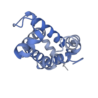 13325_7pcq_C_v1-0
Human carboxyhemoglobin bound to Staphylococcus aureus hemophore IsdB - 1:1 complex
