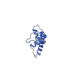 17594_8pc5_C_v1-3
H3K36me3 nucleosome-LEDGF/p75 PWWP domain complex
