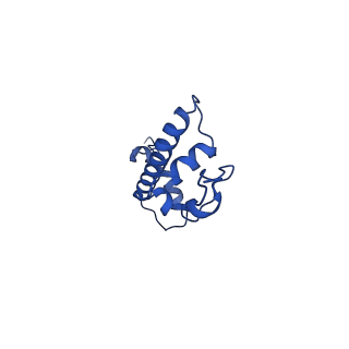 17594_8pc5_G_v1-3
H3K36me3 nucleosome-LEDGF/p75 PWWP domain complex