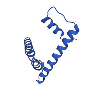 17594_8pc5_H_v1-3
H3K36me3 nucleosome-LEDGF/p75 PWWP domain complex