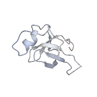 17594_8pc5_K_v1-3
H3K36me3 nucleosome-LEDGF/p75 PWWP domain complex