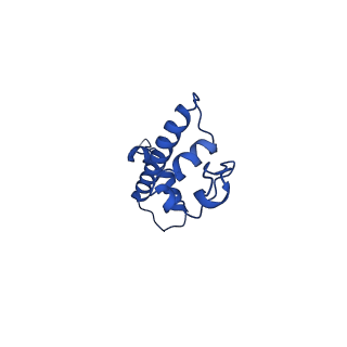 17595_8pc6_G_v1-3
H3K36me3 nucleosome-LEDGF/p75 PWWP domain complex - pose 2