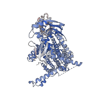 17596_8pcz_A_v1-1
Ligand-free SpSLC9C1 in lipid nanodiscs, dimer