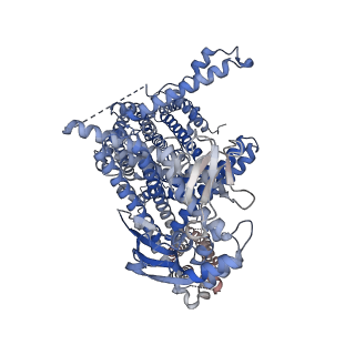 17596_8pcz_B_v1-1
Ligand-free SpSLC9C1 in lipid nanodiscs, dimer
