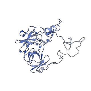 20296_6pc5_K_v1-2
E. coli 50S ribosome bound to compounds 46 and VS1