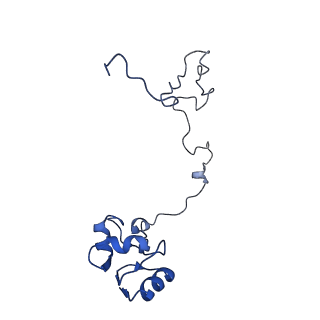 20296_6pc5_L_v1-2
E. coli 50S ribosome bound to compounds 46 and VS1