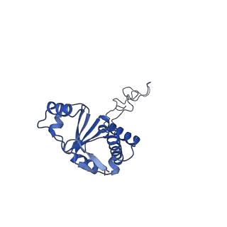 20296_6pc5_M_v1-2
E. coli 50S ribosome bound to compounds 46 and VS1
