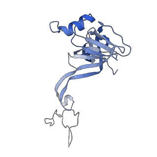 20296_6pc5_N_v1-2
E. coli 50S ribosome bound to compounds 46 and VS1