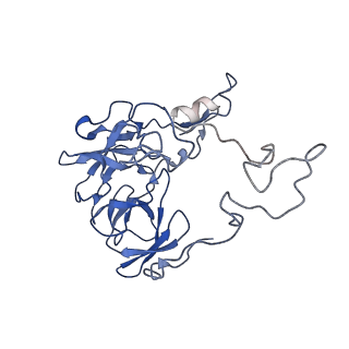 20297_6pc6_K_v1-2
E. coli 50S ribosome bound to compound 47