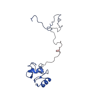 20297_6pc6_L_v1-2
E. coli 50S ribosome bound to compound 47