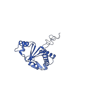 20297_6pc6_M_v1-2
E. coli 50S ribosome bound to compound 47