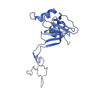 20297_6pc6_N_v1-2
E. coli 50S ribosome bound to compound 47