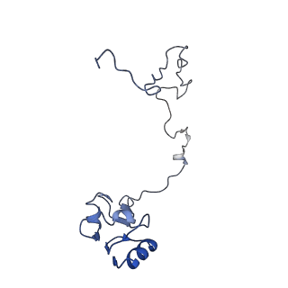 20298_6pc7_L_v1-2
E. coli 50S ribosome bound to compound 46