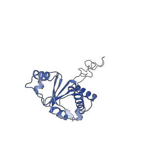 20298_6pc7_M_v1-2
E. coli 50S ribosome bound to compound 46