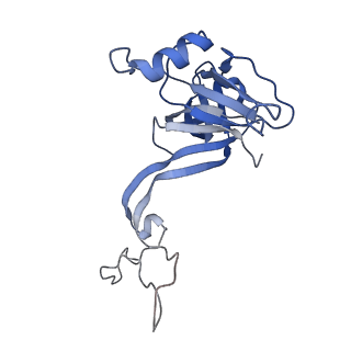 20298_6pc7_N_v1-2
E. coli 50S ribosome bound to compound 46