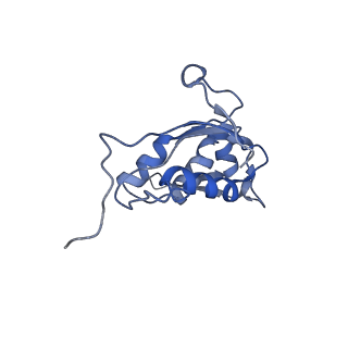 20298_6pc7_O_v1-2
E. coli 50S ribosome bound to compound 46