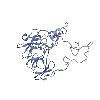 20299_6pc8_K_v1-2
E. coli 50S ribosome bound to compound 40q