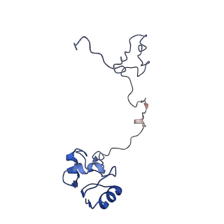 20299_6pc8_L_v1-2
E. coli 50S ribosome bound to compound 40q