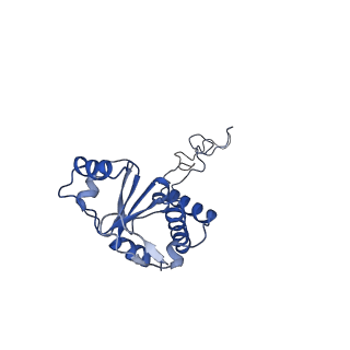 20299_6pc8_M_v1-2
E. coli 50S ribosome bound to compound 40q