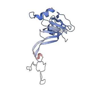20299_6pc8_N_v1-2
E. coli 50S ribosome bound to compound 40q