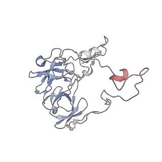 20300_6pch_K_v1-2
E. coli 50S ribosome bound to compound 21