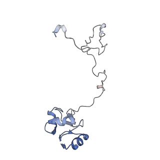 20300_6pch_L_v1-2
E. coli 50S ribosome bound to compound 21