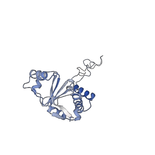 20300_6pch_M_v1-2
E. coli 50S ribosome bound to compound 21