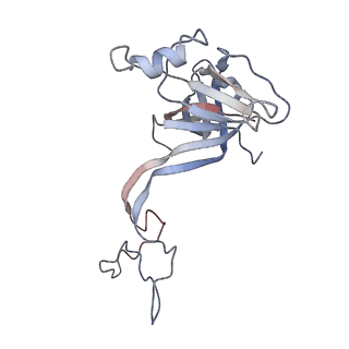20300_6pch_N_v1-2
E. coli 50S ribosome bound to compound 21