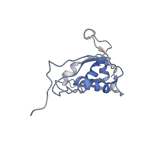 20300_6pch_O_v1-2
E. coli 50S ribosome bound to compound 21