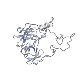 20304_6pcq_K_v1-2
E. coli 50S ribosome bound to VM2